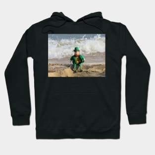 Leprechaun Fun Hoodie